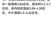 大蒜价格为什么涨跌_2024年大蒜行情预测