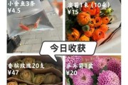 干花市场前景怎么样_干花生意赚钱吗