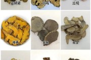 2016中药饮片市场怎么样_如何辨别真假