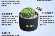 多肉植物前景怎么样_新手还能赚钱吗