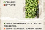 有机蔬菜哪个品牌好_有机蔬菜价格为什么贵