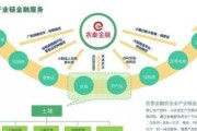 农业互联网金融是什么_农业互联网金融如何运作