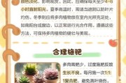 多肉植物怎么养_多肉植物市场前景如何