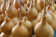 葫芦市场未来五年赚钱吗_葫芦工艺品如何选品