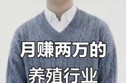 2024年养殖业前景如何_新手养什么最赚钱