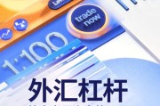 外汇交易平台哪个好_外汇杠杆怎么选