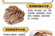 茶树菇种植前景怎么样_茶树菇市场销路好吗