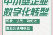 全国小微企业如何转型互联网_全国小微企业互联网营销怎么做