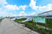 江门益方田园有限公司怎么样_益方田园有机蔬菜基地在哪