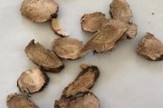 中药材网上商城哪家好_如何辨别真假药材