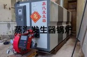 懒王锅炉怎么样_郑州懒王锅炉售后电话是多少