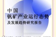 钒电池市场前景如何_2024年投资机会在哪
