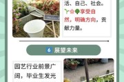 2017绿化行业前景如何_绿化行业赚钱吗