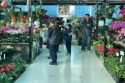 花卉业前景怎么样_开花店赚钱吗