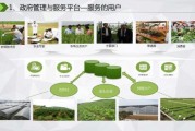 互联网农业报告_智慧农业如何落地