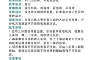 亲子活动有哪些_亲子早教课程怎么选