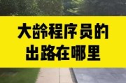 武汉互联网出路在哪_武汉程序员转行做什么