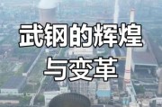 武钢未来发展前景如何_武钢转型成功了吗