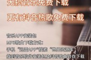 在线音乐平台哪个好_如何下载无损音乐