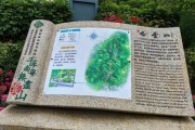 白云山前景怎么样_值得投资吗