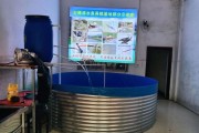 淡水鱼养殖前景怎么样_淡水鱼养殖赚钱吗