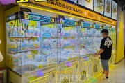 抓娃娃机赚钱吗_新手怎么选机器