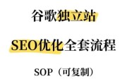 外贸独立站怎么做_如何提升谷歌SEO排名