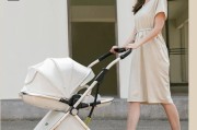 婴儿推车怎么选_婴儿推车哪个牌子好