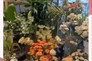 干花市场前景如何_干花创业赚钱吗
