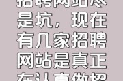 互联网招聘平台有哪些_2024年找工作哪个网站靠谱