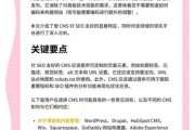 网站SEO怎么做_2024年还有前景吗