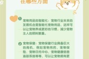 宠物行业前景怎么样_宠物店创业优势与风险
