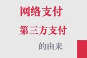 互联网支付安全吗_第三方支付平台有哪些