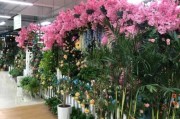 花卉市场前景如何_2024年花卉行业赚钱吗