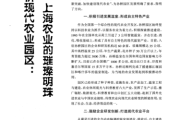园艺电商怎么做_园艺产业互联网转型路径