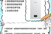 常州荣力行热能有限公司怎么样_燃气锅炉选型指南