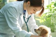 宠物医生前景怎么样_宠物医生收入高吗