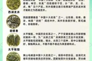 中国茶叶品牌排行榜_如何挑选正宗绿茶