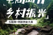 农村互联网创业前景怎么样_农村电商怎么做