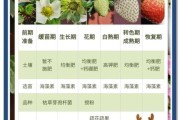 草莓种植前景如何_草莓市场未来五年趋势