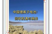 电池行业前景怎么样_动力电池回收赚钱吗