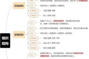 互联网公司运营构架图_如何搭建高效团队