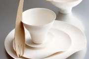 一次性餐具前景怎么样_环保替代品有哪些