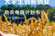 互联网农业创业机会_农业电商平台怎么做
