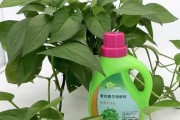 绿倍生态科技有限公司怎么样_绿倍生态科技有哪些产品