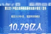 中国网民规模有多大_我国互联网普及率是多少