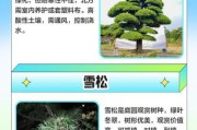 绿化苗木价格走势_适合北方种植的树种有哪些