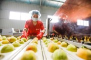 桃子深加工市场前景如何_桃子深加工有哪些产品