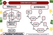 互联网股权如何设计_国际借鉴有哪些