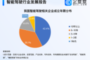 互联网代驾市场前景怎么样_代驾平台盈利模式有哪些
